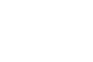 Logo Darty