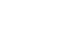 Logo Ibis