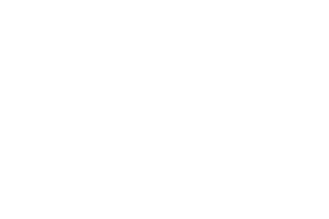 Thales logo
